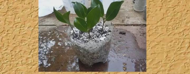 描述: D:\-  User Folders  -\- Sys\Desktop\新增資料夾\6.jpg