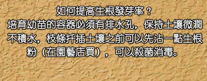 描述: D:\-  User Folders  -\- Sys\Desktop\新增資料夾\9.jpg