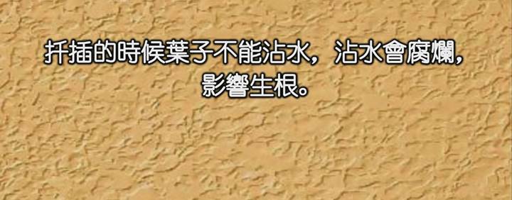 描述: D:\-  User Folders  -\- Sys\Desktop\新增資料夾\13.jpg