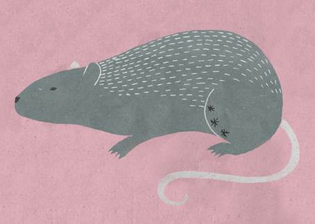 描述: http://www.hotnews.hk/file/thumb/a0d5580ceb015662aceb2c6979787a50-1600max.jpg