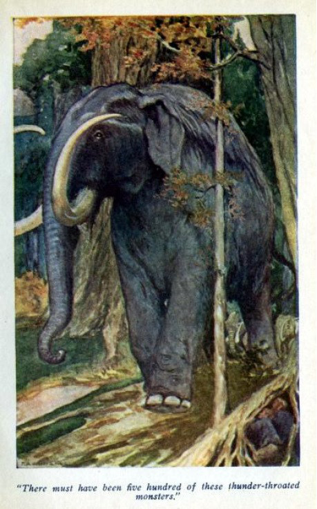 描述: D:\- User Folders -\- Sys\Desktop\275812448.jpg