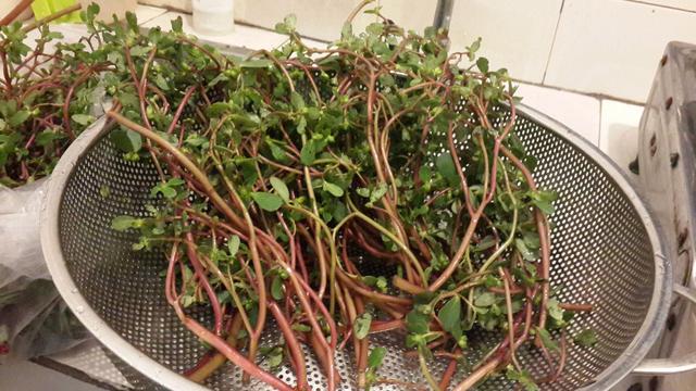 描述: D:\-  User Folders  -\- Sys\Desktop\e8e0002dd58ff43b32d.jpg