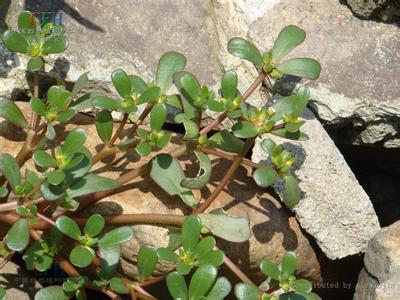 描述: D:\-  User Folders  -\- Sys\Desktop\afc7bb6b468b73a11fc6883c4bd543e5.jpg