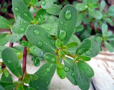 描述: D:\-  User Folders  -\- Sys\Desktop\224faa4315065b457e6cbf37ace9e252.jpg