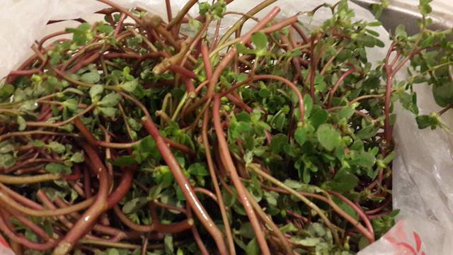 描述: D:\-  User Folders  -\- Sys\Desktop\e920002dd22f59e49ea.jpg