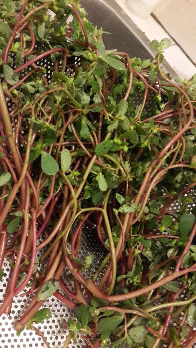 描述: D:\-  User Folders  -\- Sys\Desktop\e8e0002dc9ee10bd505.jpg