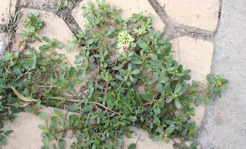 描述: D:\-  User Folders  -\- Sys\Desktop\ba938d0522c590d34dd36f9de65661ea.jpg