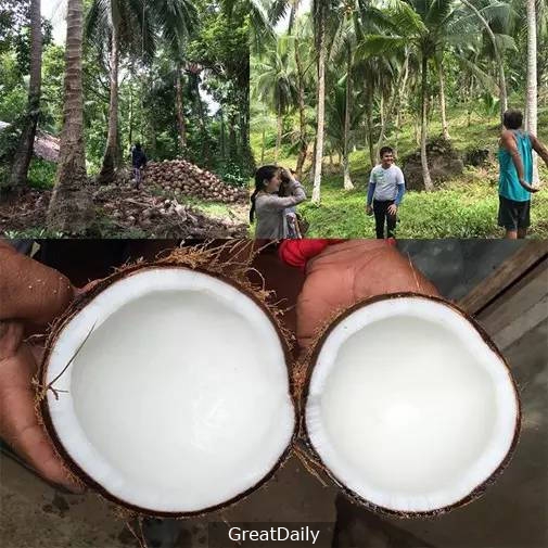 描述: 她滴了幾滴「這個」在頭髮上後，「乾燥」、「落髮」還是「白髮」在幾天後就解決了！