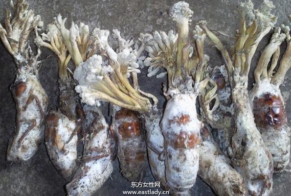 描述: 2qn0010qrnpoo52p828
